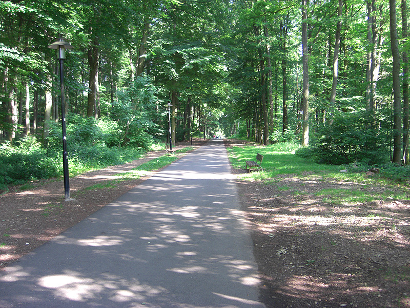 Gemütlicher Rundweg