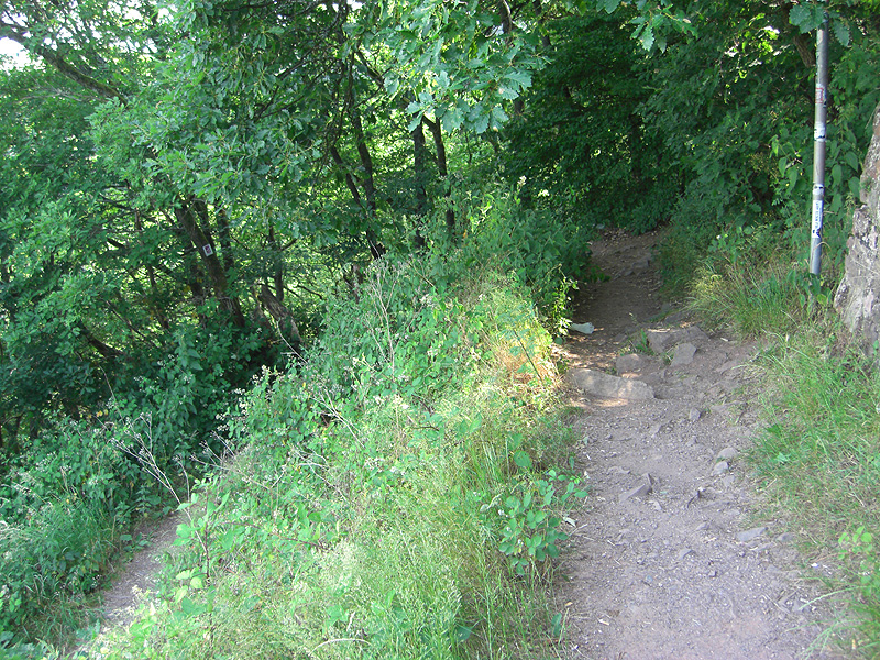 Ein Wanderweg führt hinab ans Saarufer.