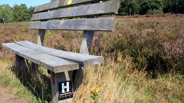 Deutschlands-schönster-Wanderweg_HSW_c_Lüneburger-Heide