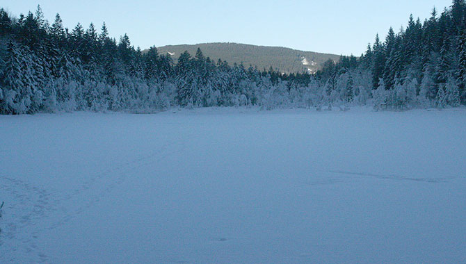 Frillensee_Traumhaft