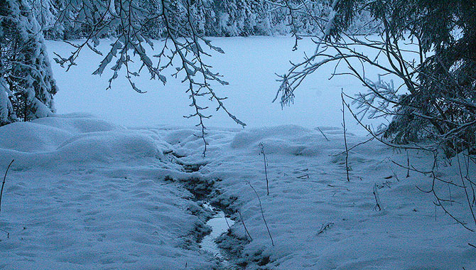 Frillensee_Winter