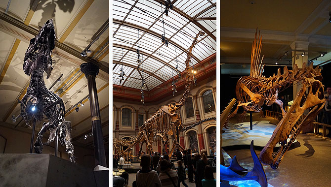 Highlights im Museum für Naturkunde: Tristan, Brachiosaurus, Spinosaurus