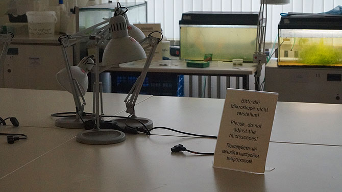 Bitte die Mikroskope nicht verstellen!