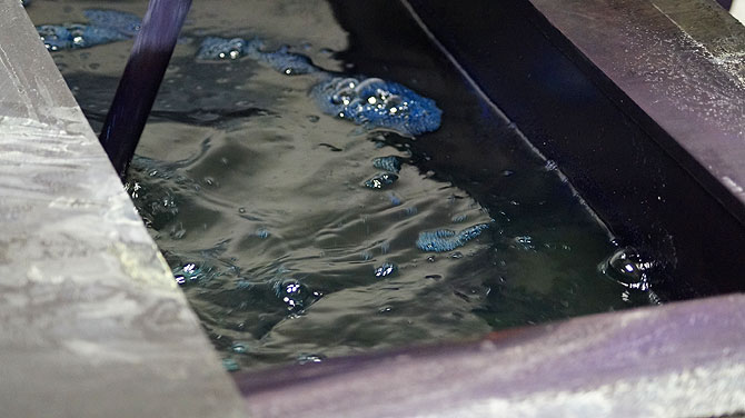 DIe Flüssigkeit im Blaubad ist grün.