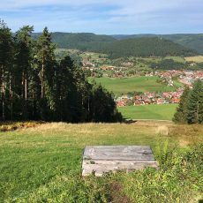 Sankenbachsteig Baiersbronn Genie Erpfad Wanderung Im Check