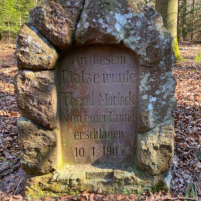 Wanderung Um Hohenwart Bei Pforzheim Dein Wandertipp F R Ba W