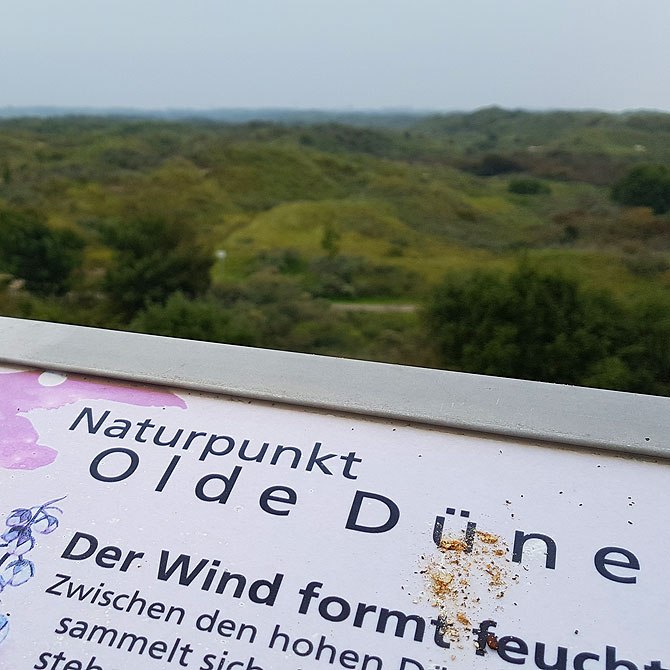 Naturpunkt Olde Düne