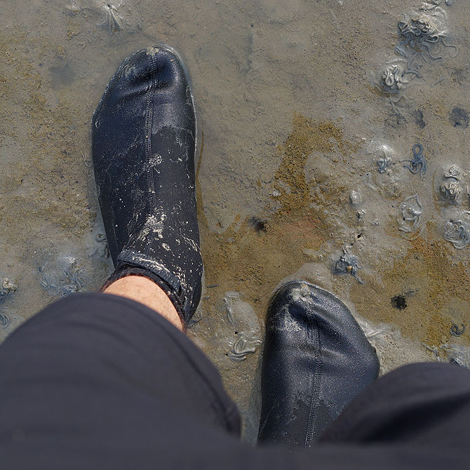 Wattsocken sind gutes Schuhwerk