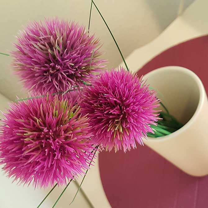 Zimmer, Kategorie Distel