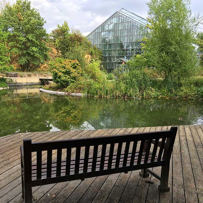 Botanischer Garten Osnabrück »» Grünstes Ausflugsziel der