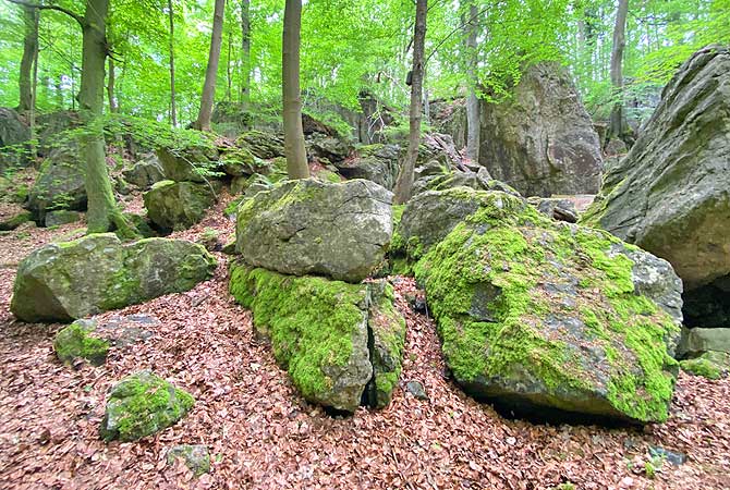 Früher war hier viel Meer, heute mehr Steine