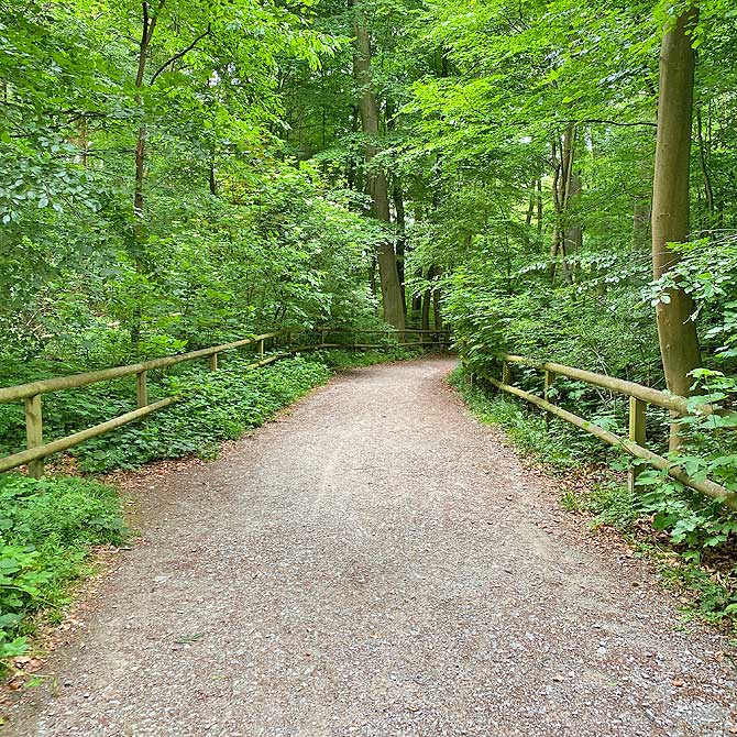 Wanderweg durch das Felsenmeer