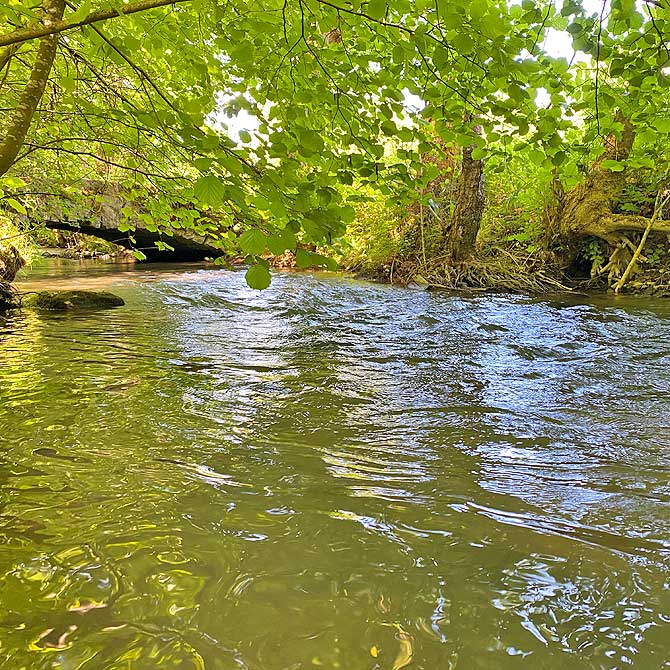 Der Kreuzbach plätschert bei Wind und Wetter