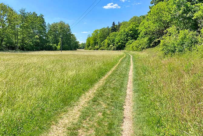 Offene Flächen gibt es wenige, mehr Wald