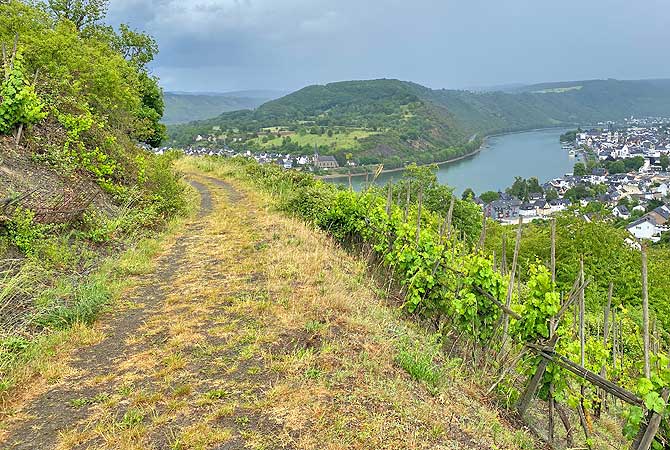 Weg am Rhein entlang