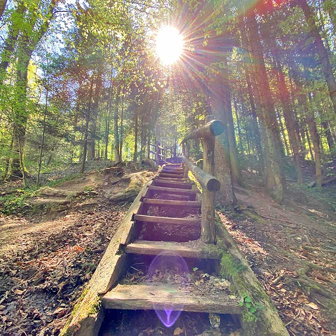 Natur im Schwäbischen Wald