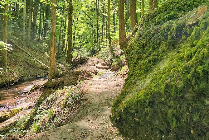 Eine Idylle wie bei Herr der Ringe