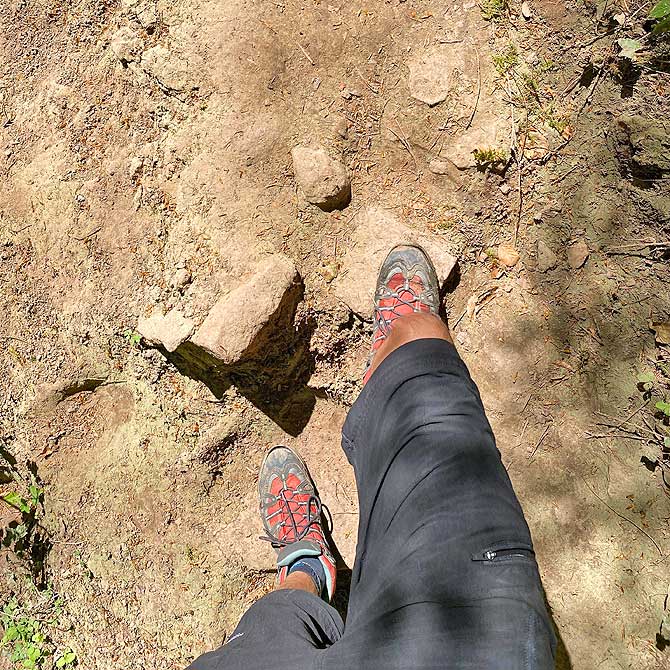 Diese Bodenbeschaffenheit hat der Wanderweg