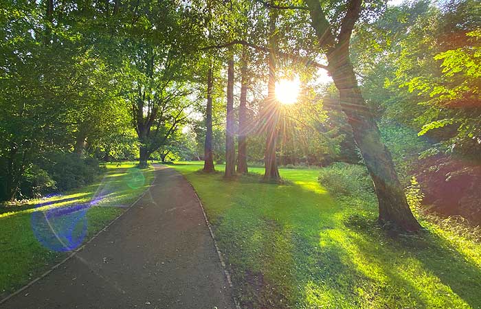 Sonne und viel Grün im Oldenburger Schlossgarten