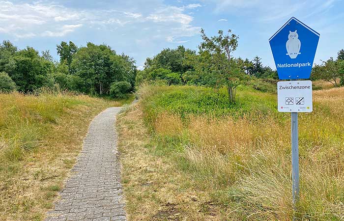 Wald gehört auch zu einem Urlaub auf Borkum