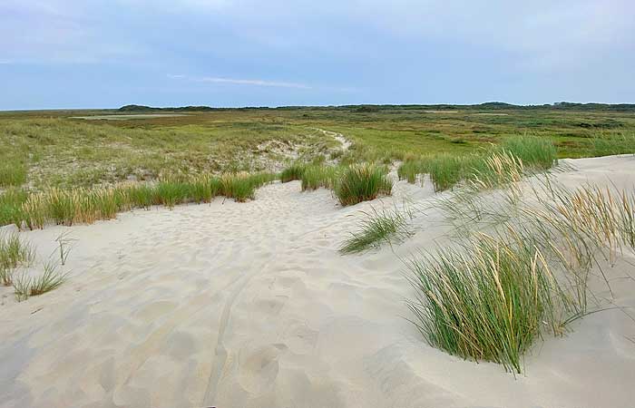 Blick von Hooge Hörn zum Zentrum der Insel