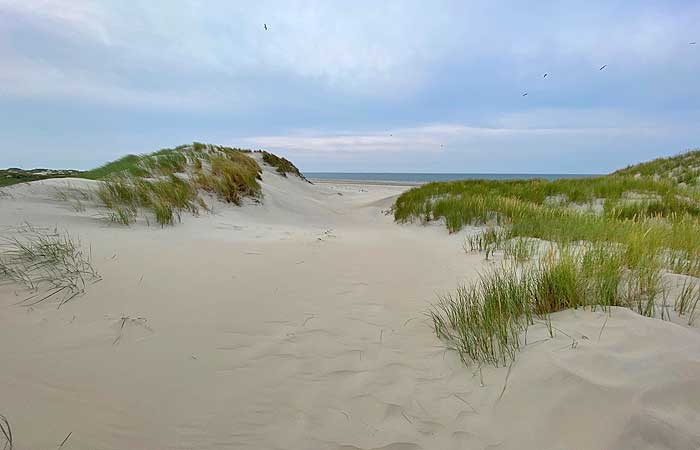 Weg durch die Dünen zum Oststrand