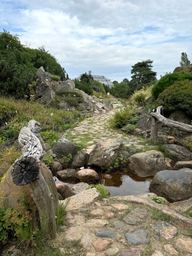 Pflanzengeographie über verschiedene Kontinente im Botanischen Garten