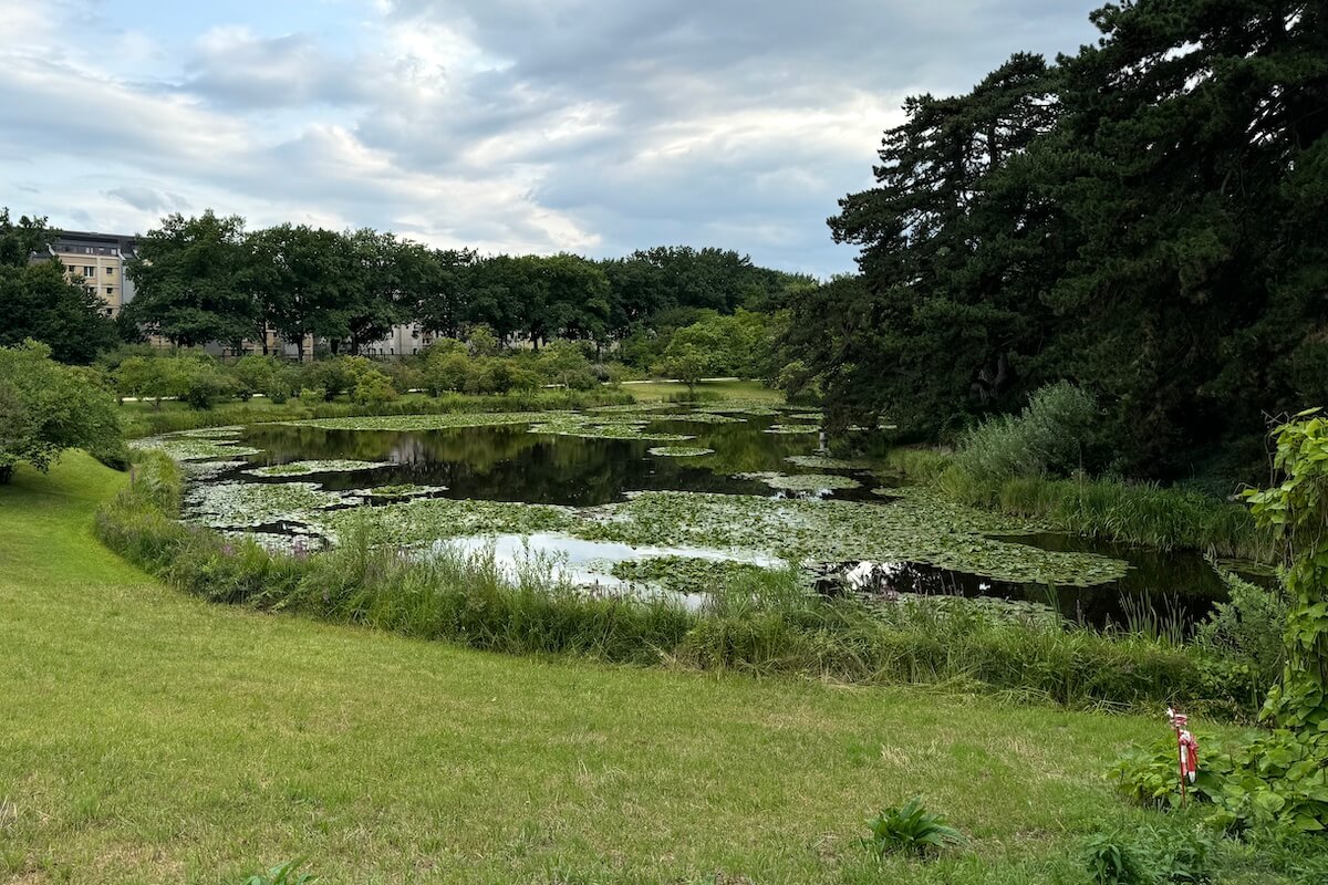 Ist nicht der Victoriasee, sondern ein Teich im Außengelände.