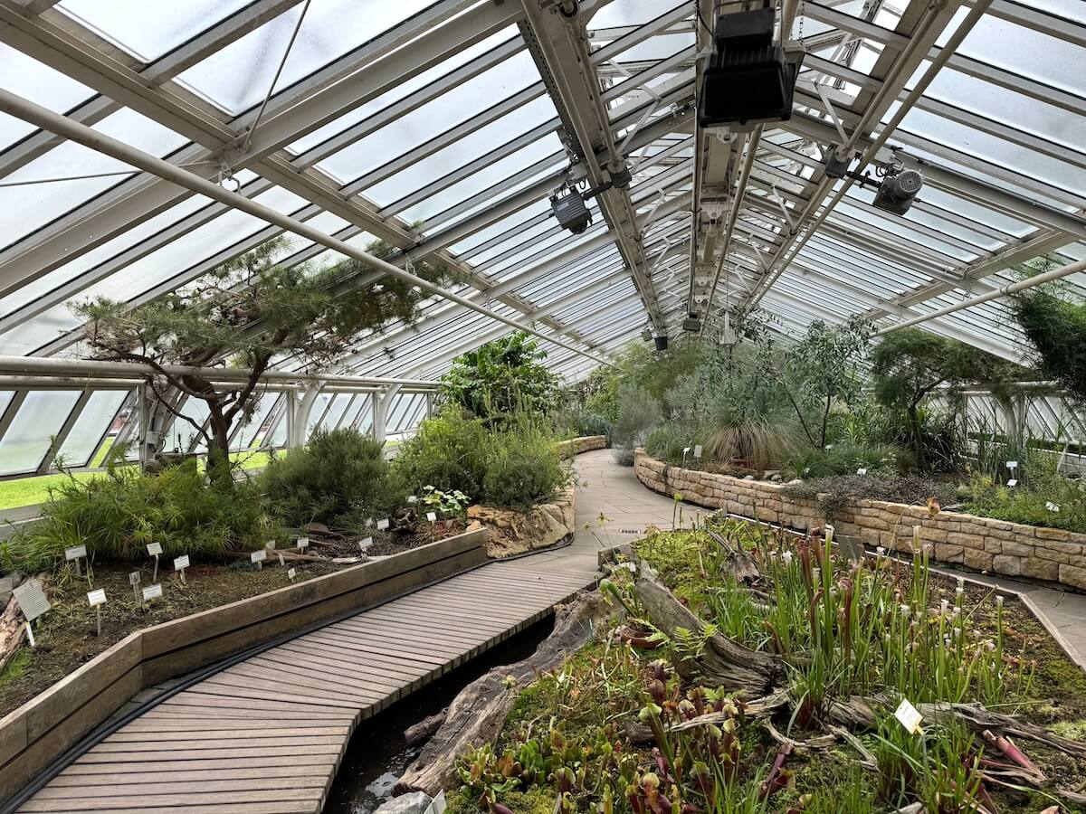 Botanischer Garten in Berlin mit vielen Kakteen im Gewächshaus.